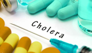 Read more about the article Cholera outbreak hits Adamawa with 12 deaths, 308 hospitalised 