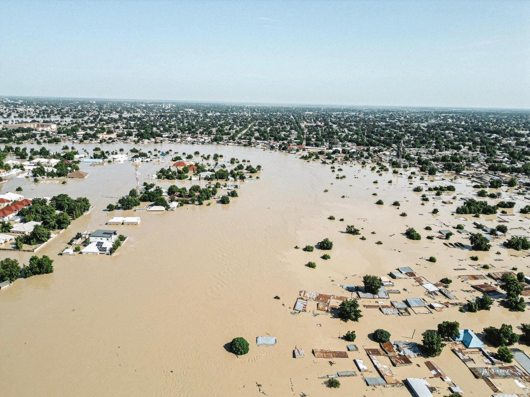 You are currently viewing FG deploys 100 drums of chlorine to Borno to disinfect water sources after flooding 