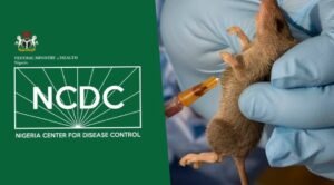 Read more about the article Nigeria accounts for over 50% of West Africa’s 2.7 million annual Lassa fever cases -Report 