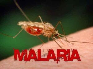 Read more about the article LASG partners with Society for Family health to tackle malaria 