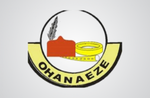 Read more about the article Igbo not safe in Northwest over new terror group, Ohanaeze Ndigbo raises alarm