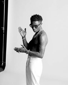 Read more about the article Wizkid equals Burna Boy’s record as Nigerian artist with most charting albums on Billboard – The Sun Nigeria