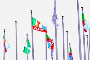 Read more about the article APC group warns against candidate imposition in 2026 election