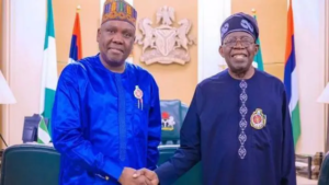 Read more about the article Tinubu making progress on promises to reform Nigeria