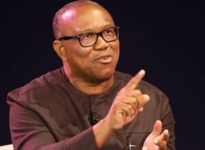 Read more about the article Free, fair election possible in Nigeria if… Peter Obi