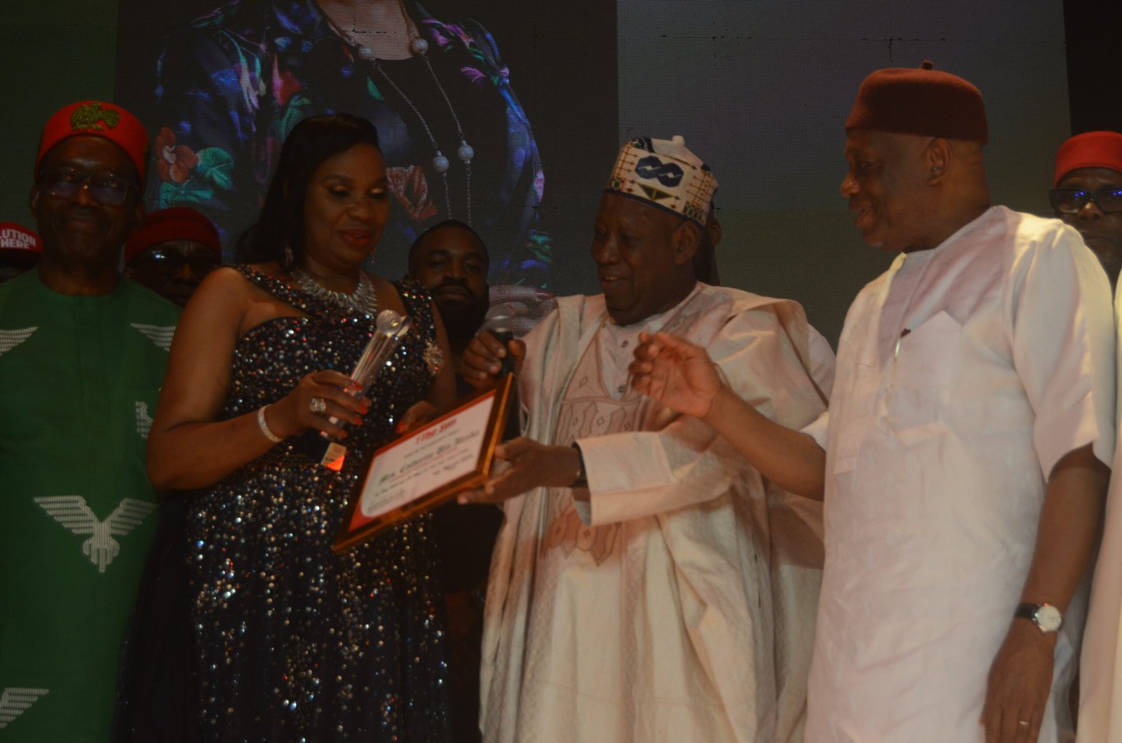 You are currently viewing Night of recognition, celebration of changemakers – The Sun Nigeria