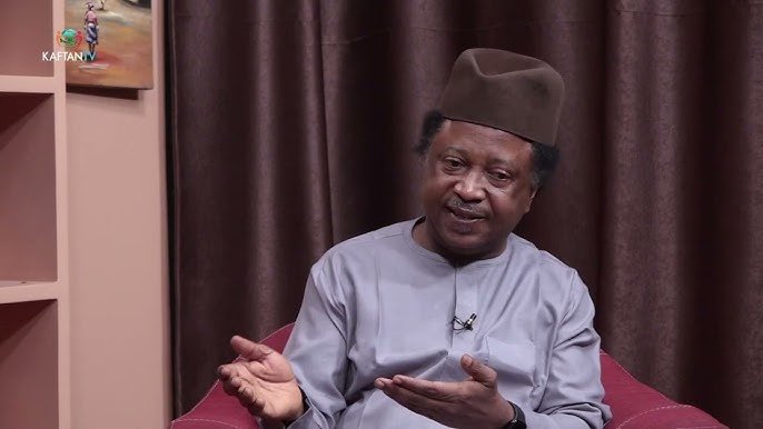 You are currently viewing Shehu Sani credits Kaduna gov for APC return