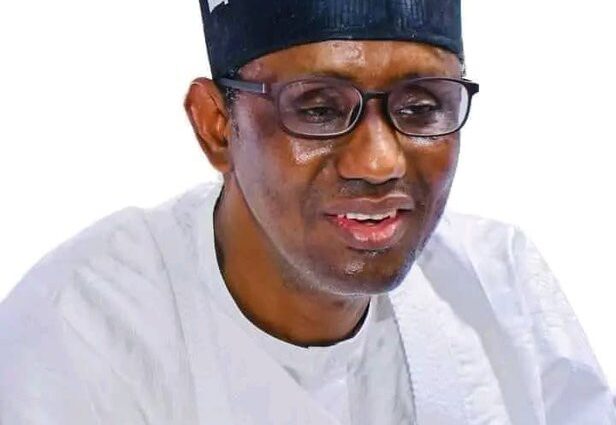 Tinubu Approves Firearms For Forest Guards In Sweeping Anti-Banditry Strategy